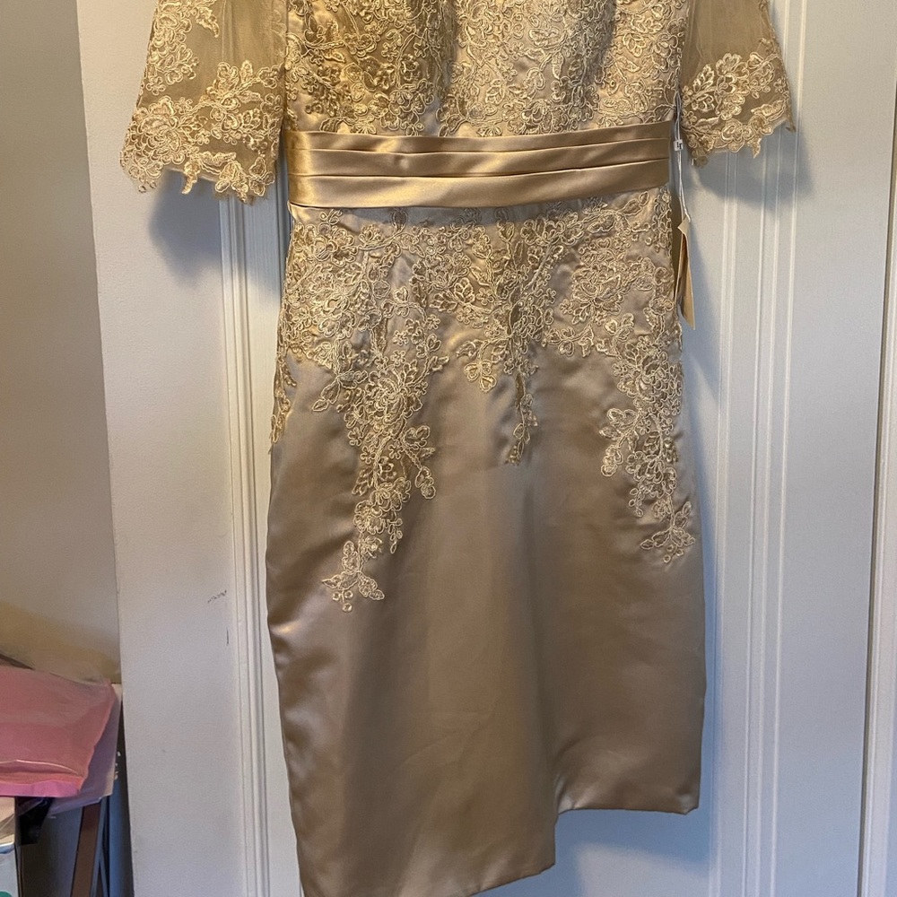 Beautiful Champagne colored Lace and satin dress - Picture 5 of 6